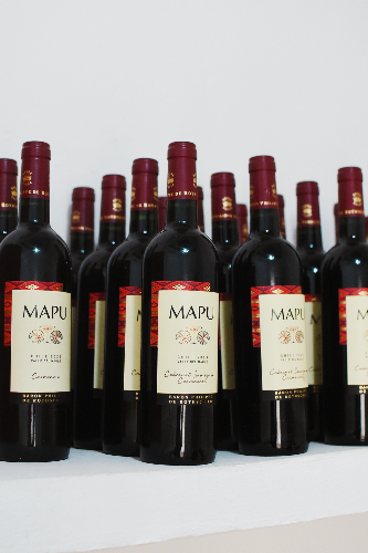 Vino tinto Mapu